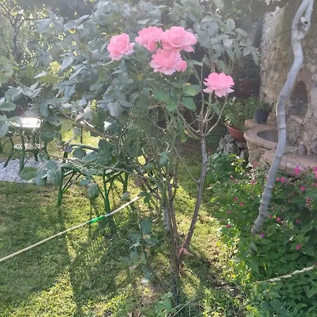 Bed & Breakfast I Santicelli Morano Calabro