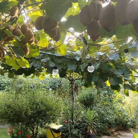 I Santicelli Morano Calabro