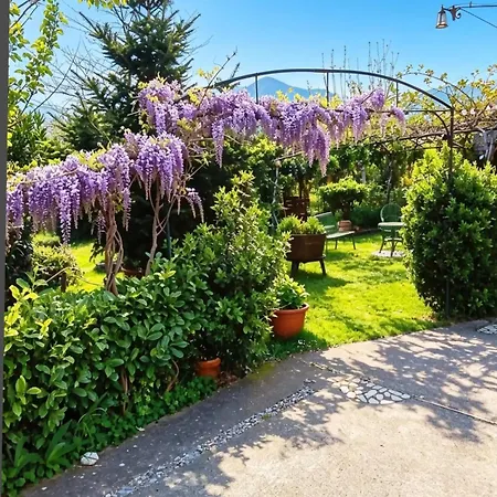 Bed & Breakfast I Santicelli Morano Calabro