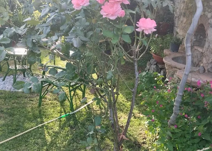 Bed & Breakfast I Santicelli Morano Calabro