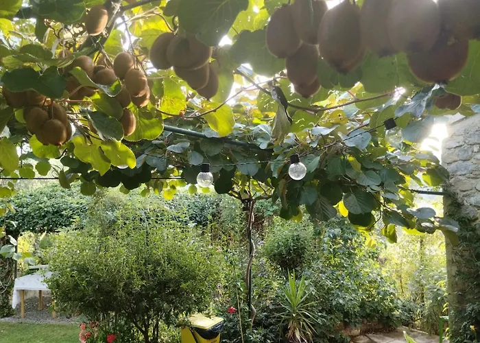 I Santicelli Morano Calabro